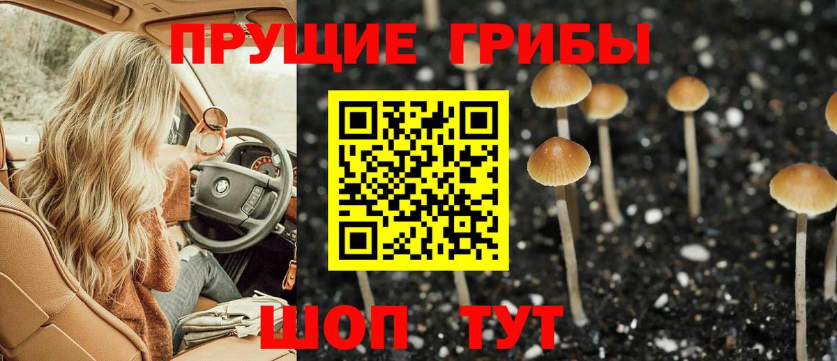 Псилоцибиновые грибы Cubensis Шарыпово