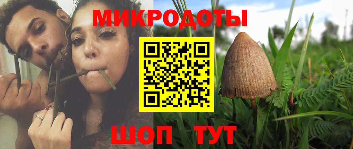 Псилоцибиновые грибы Magic Shrooms  Вход с VPN  Шарыпово  Галлюциногенные грибы мицелий 